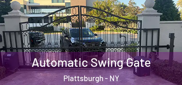  Automatic Swing Gate Plattsburgh - NY