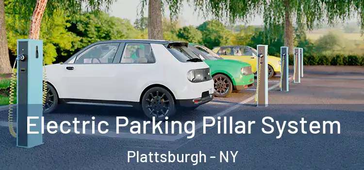 Electric Parking Pillar System Plattsburgh - NY