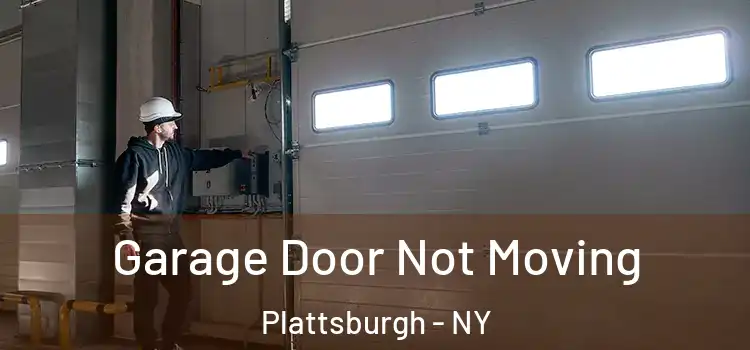  Garage Door Not Moving Plattsburgh - NY