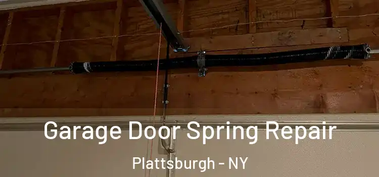  Garage Door Spring Repair Plattsburgh - NY