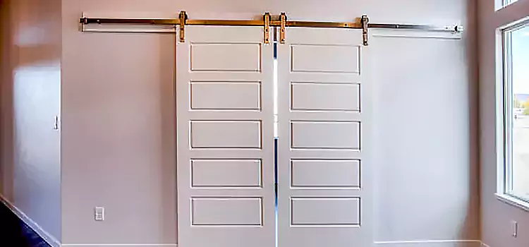 Glass Barn Door with Installation Hardware Kit Plattsburgh