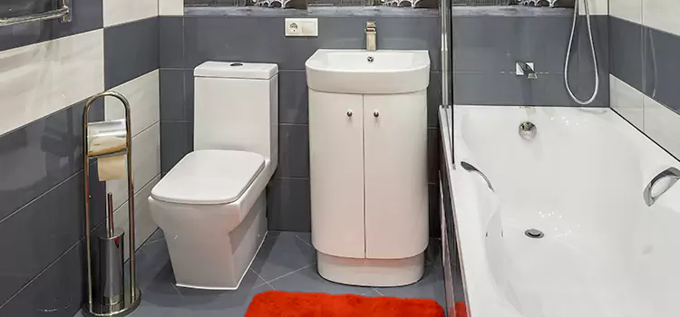 Hansgrohe Shaving Mirror Plattsburgh
